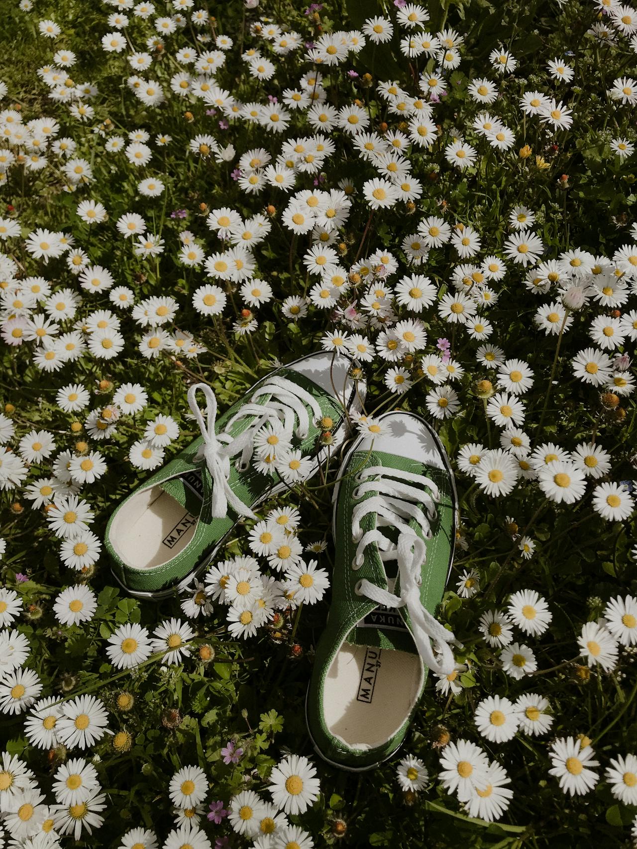 A pair of vegan shoes in a field.